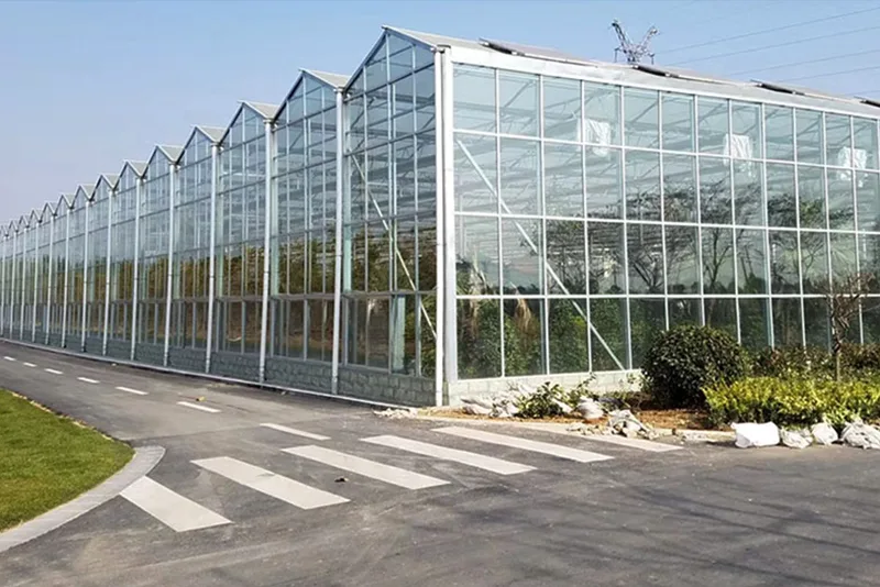 Serres solaires