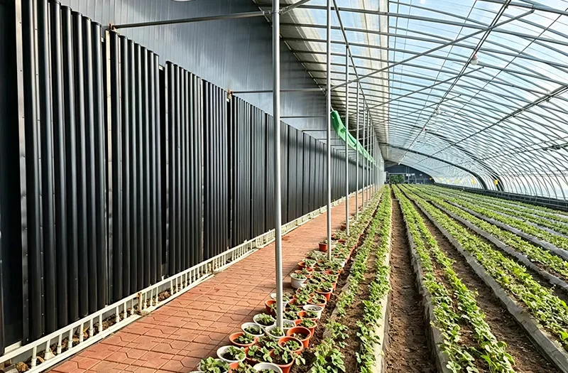 Comment les agriculteurs peuvent-ils choisir les bonnes serres solaires pour une production agricole efficace tout au long de l’année ?