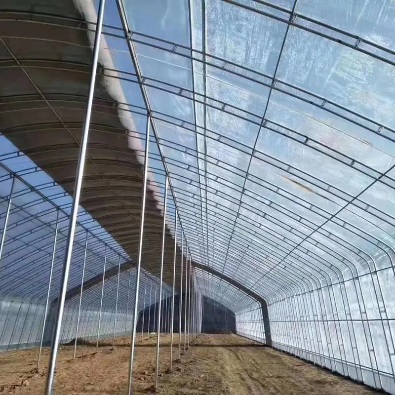 Double-Steel Frame Round Arch Solar Greenhouse