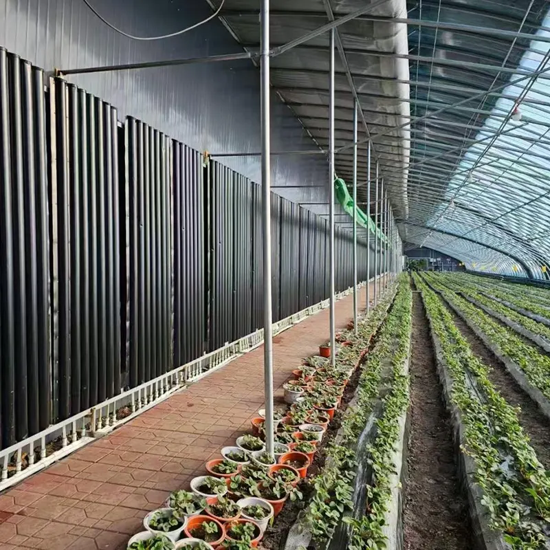 Semi-Slope Heat Storage Solar Greenhouse