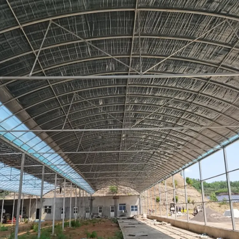 Hangar d'élevage à grande échelle