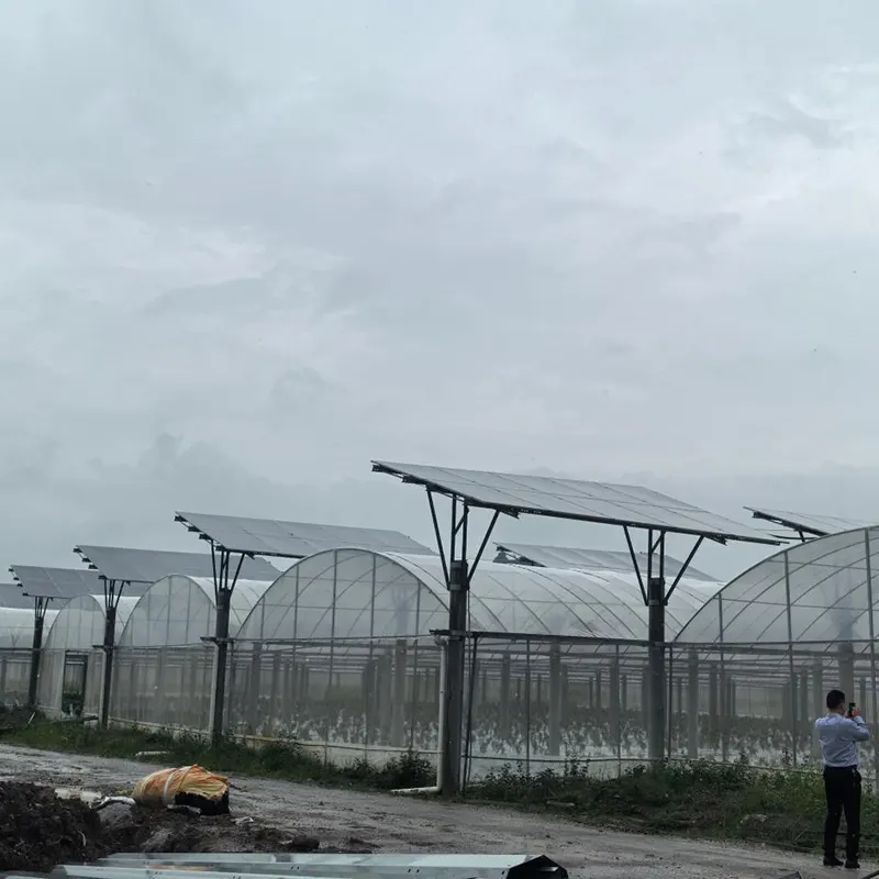 Serre multi-travées avec toit photovoltaïque