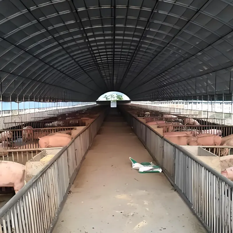 Hangar d'élevage de porcs