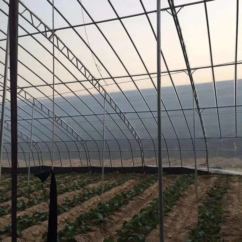 Serre solaire préfabriquée à pente unique tout en acier