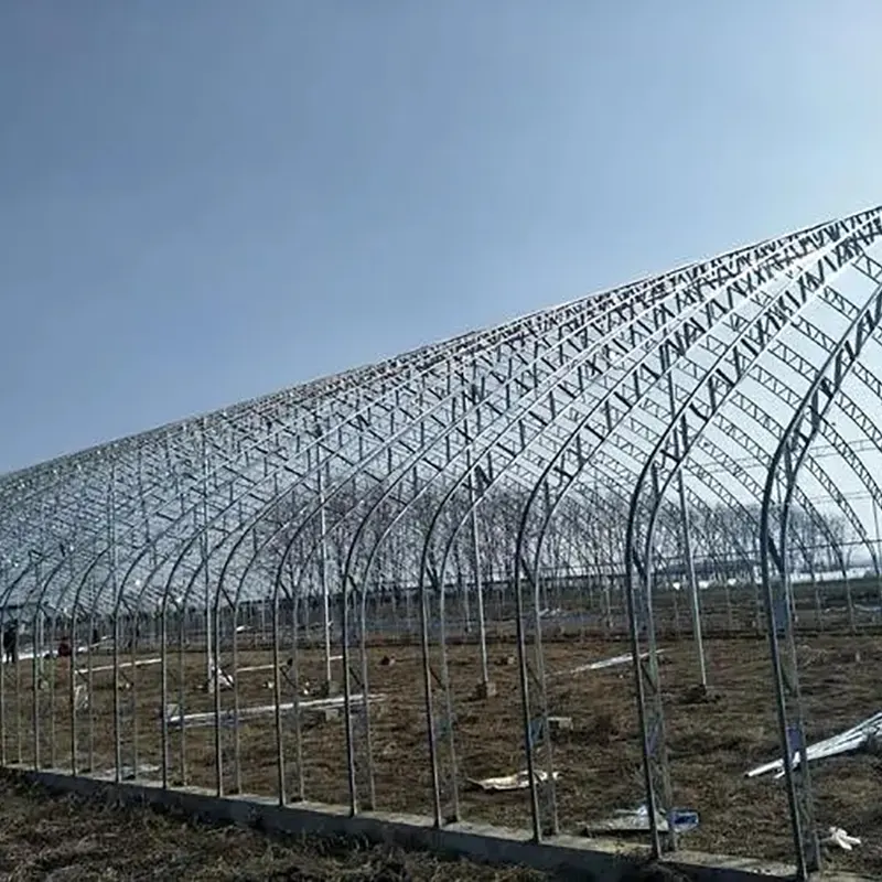 Serre solaire préfabriquée à arche à double film Serre solaire préfabriquée à arche à double film