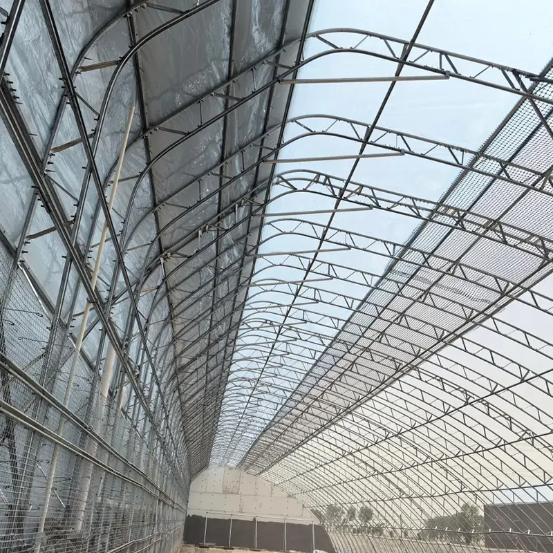 Serre solaire préfabriquée à double film et à pente unique