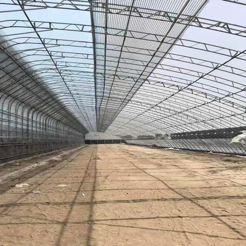 Serre solaire préfabriquée à double cadre en acier