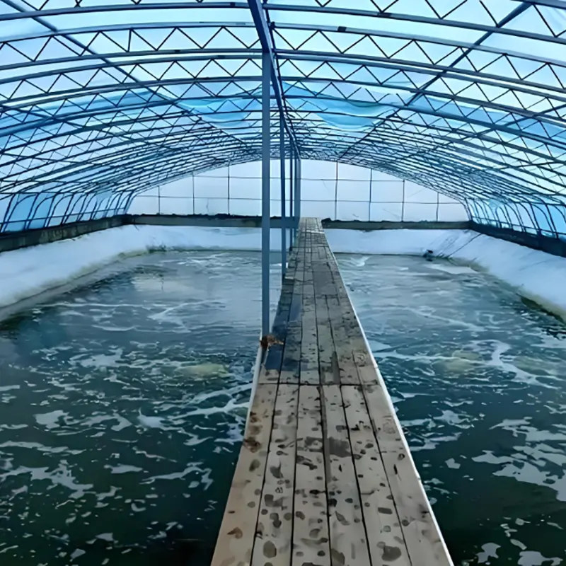 Hangar d'élevage de crevettes